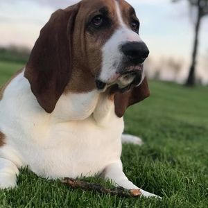 Meet your Posher, Ryanne